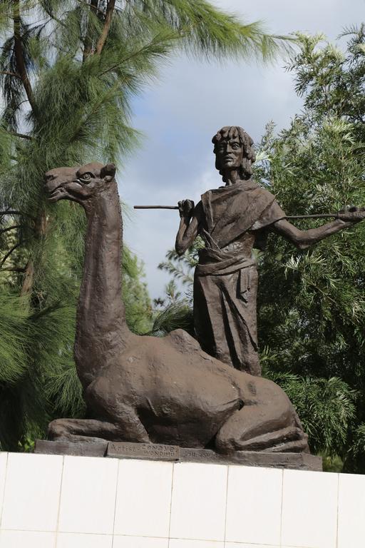 Afarensis International Hotel Addis Ababa Luaran gambar
